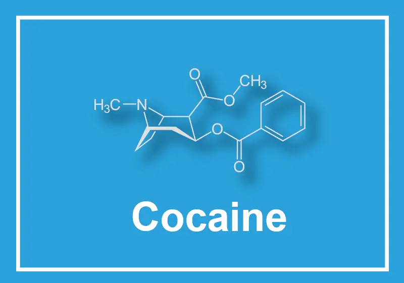 casa-santa-isabel-cocaine